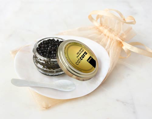 Crème by Cat Cora's White Sturgeon Caviar Gift Set