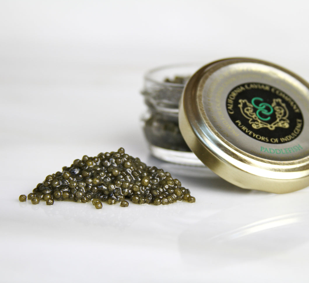Paddlefish Sturgeon Caviar - A great substitute for the pricier sevruga, the assertive paddlefish is a perfect accompaniment to smoked fish and a glass of brut rosé or a cold shot of vodka.